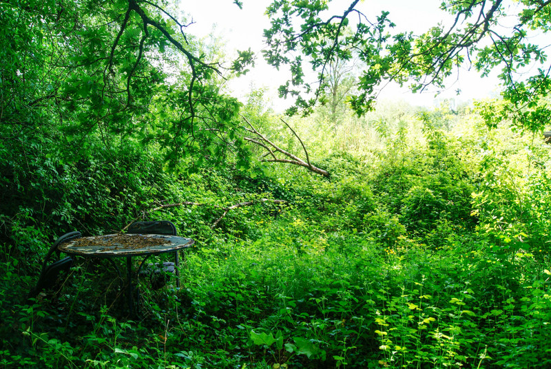 House in SaintPaulenGâtine DeuxSèvres Hamlet property for