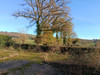 French property for sale in Saint-Dizier-Masbaraud, Creuse - €88,000 - thumbnail 12