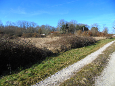 Terrain à vendre à Les Essards, Charente, Poitou-Charentes, avec Leggett Immobilier