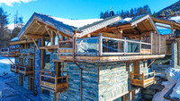 Propriété à vendre à La Plagne Tarentaise, Savoie - 3 300 000 € - photo n°1