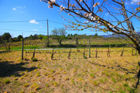 Maison à vendre à La Livinière, Hérault - 350.000 € - photo 10