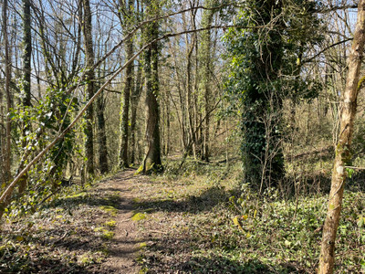 French property for sale in Médréac, Ille-et-Vilaine - €16,600 - photo 6