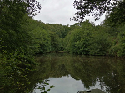 Lacs à vendre à Saint-Priest-les-Fougères, Dordogne, Aquitaine, avec Leggett Immobilier