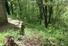 French property for sale in Meslan, Morbihan - €58,500 - thumbnail 9