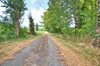 French property for sale in Saint-Pastour, Lot-et-Garonne - €214,000 - thumbnail 9