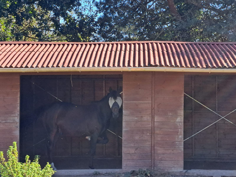 French property for sale in Saint-Agathon, Cotes_d_Armor - €550,000 - photo 6
