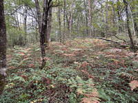 Terrain à vendre à Sanilhac, Dordogne - 26.600 € - photo 5