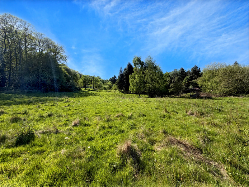 French property for sale in Piégut-Pluviers, Dordogne - €147,150 - photo 9