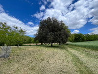 Maison à Nérac, Lot-et-Garonne - photo 4