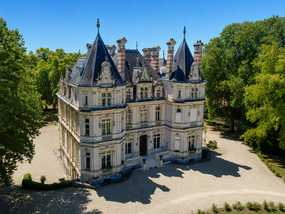 chateau for sale in Charente