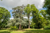 French property for sale in Tournan-en-Brie, Seine-et-Marne - €1,975,000 - thumbnail 9