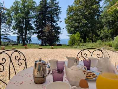 French property for sale in Pont-de-Larn, Tarn - €690,000 - photo 1
