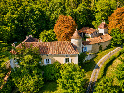 chateau for sale in Dordogne
