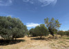 French property for sale in Saint-Rémy-de-Provence, Bouches-du-Rhône - €340,000 - thumbnail 9