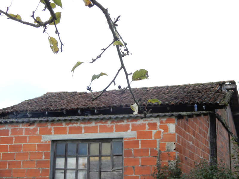 French property for sale in Exideuil-sur-Vienne, Charente - €31,600 - photo 14