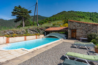 Propriété à vendre à Prats-de-Mollo-la-Preste, Pyrénées-Orientales - 995 000 € - photo n°5