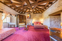 Chateau à vendre à Condat-sur-Vézère, Dordogne - 3.723.000 € - photo 7