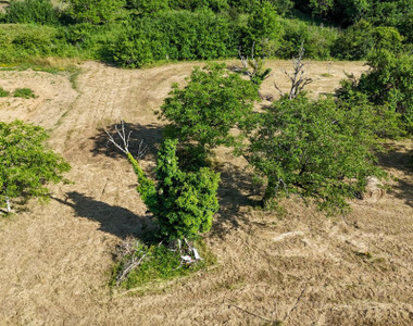 Terrain à vendre à Terrasson-Lavilledieu, Dordogne, Aquitaine, avec Leggett Immobilier