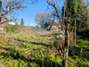 French property for sale in Vayres, Haute-Vienne - €28,900 - thumbnail 9