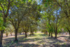 French property for sale in Maubec, Vaucluse - €1,800,000 - thumbnail 14