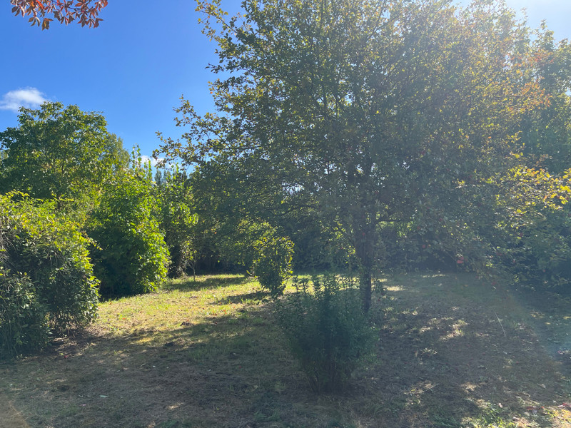 French property for sale in Vernantes, Maine-et-Loire - €194,400 - photo 8