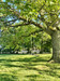 French property for sale in Marnay, Vienne - €335,000 - thumbnail 9
