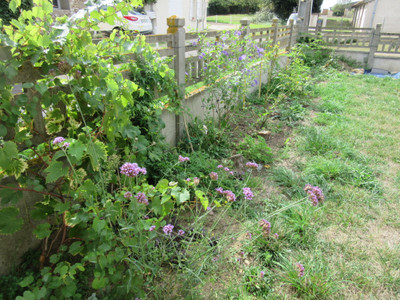 French property for sale in Saint-Romain, Vienne - €41,000 - photo 9