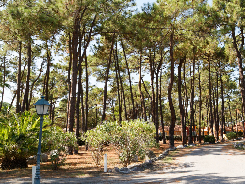 Apartment for sale in Corsica Beach house Natural reserve