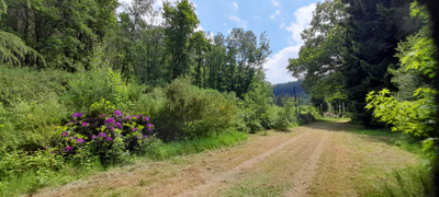 French property for sale in La Lande-de-Goult, Orne - €168,500 - photo 14