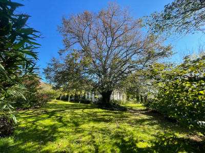 Beautifully renovated stone house in immaculate enclosed garden. Calm and close to amenities.