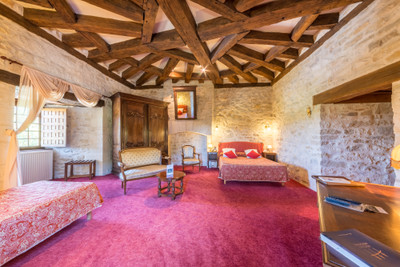 French property for sale in Condat-sur-Vézère, Dordogne - €3,723,000 - photo 6