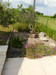 French property for sale in Marmande, Lot-et-Garonne - €435,750 - thumbnail 9