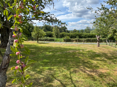French property for sale in Ladignac-le-Long, Haute-Vienne - €140,000 - photo 5
