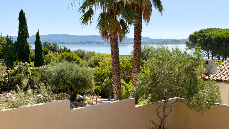 French property for sale in Bages, Aude - €842,105 - photo 2