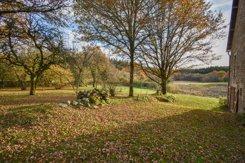 French property for sale in Viam, Corrèze - €318,000 - photo 8