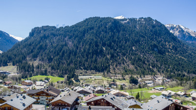 French property for sale in Châtel, Haute-Savoie - €433,000 - photo 6