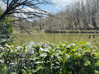 Lacs à vendre à Pressignac, Charente - 82.500 € - photo 2