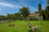 French property for sale in Aubagnan, Landes - €458,000 - thumbnail 9