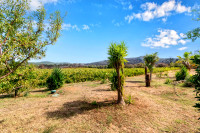 Propriété à vendre à Thézan-des-Corbières, Aude - 589 000 € - photo n°6