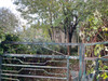 French property for sale in Melle, Deux-Sèvres - €56,600 - thumbnail 14