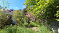 Maison à Felletin, Creuse - photo 3