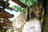 French property for sale in Saint-Paul-en-Gâtine, Deux-Sèvres - €19,000 - thumbnail 13