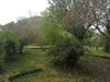 French property for sale in Bassignac, Cantal - €77,000 - thumbnail 9