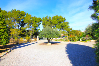 French property for sale in Pouzols-Minervois, Aude - €495,000 - photo 9