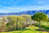 French property for sale in Saint-Martin-de-Castillon, Vaucluse - €495,000 - thumbnail 14