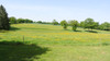 French property for sale in Buxières-les-Mines, Allier - €585,000 - thumbnail 9