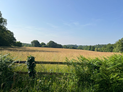 French property for sale in Thiviers, Dordogne - €1,081,200 - photo 7