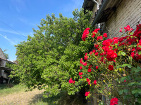 Maison à vendre à Chef-Boutonne, Deux-Sèvres - 99.999 € - photo 9