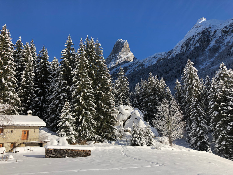 French property for sale in Pralognan-la-Vanoise, Savoie - €463,220 - photo 4