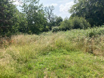 French property for sale in Luchapt, Vienne - €66,600 - photo 7